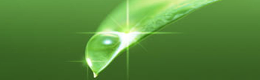 Environmental Business